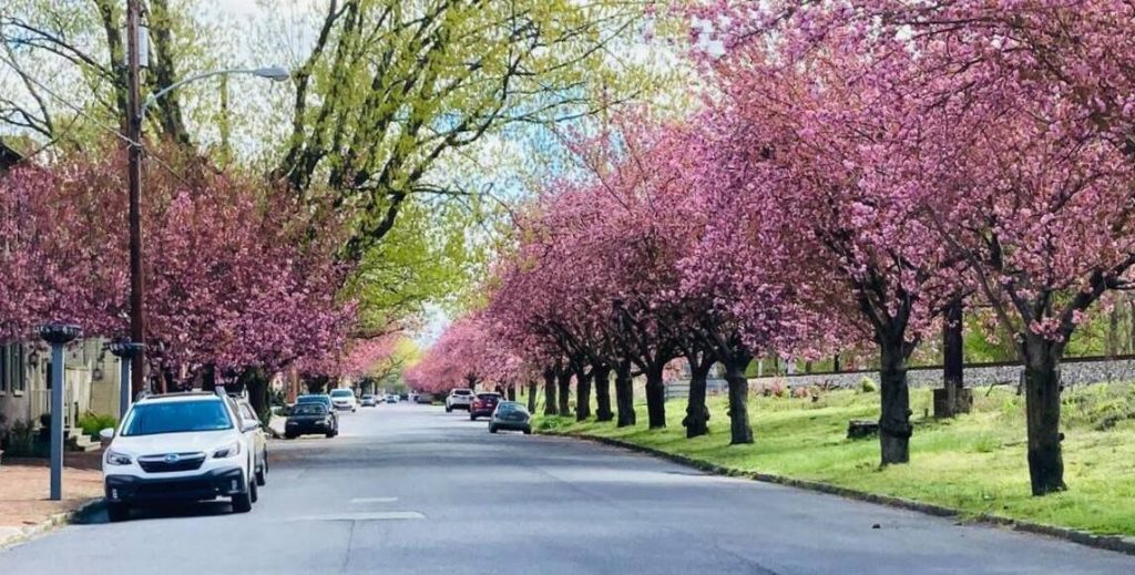 croppedimageedit_1_6954823545.jpg Marietta, PA